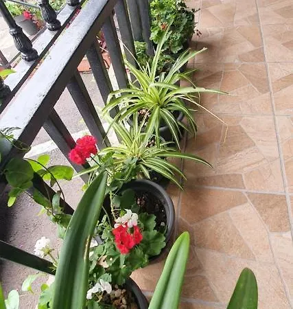 Apartmán El Puente *