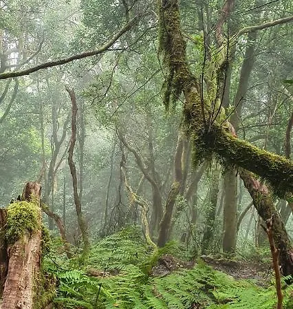 Apartamento El Puente *