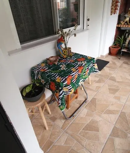 El Puente טגננה