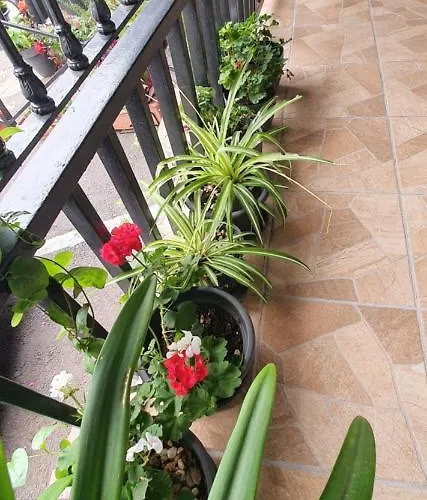 Appartement El Puente *