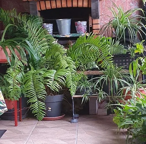 Appartement El Puente *