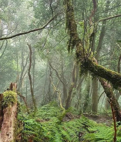 דירה El Puente *