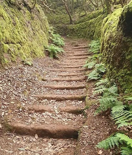 El Puente * Taganana