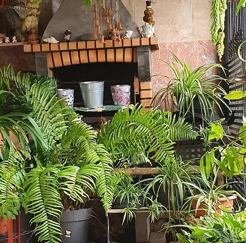 Appartement El Puente