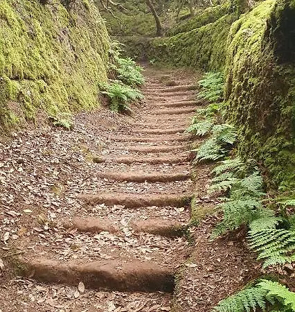 El Puente * Taganana