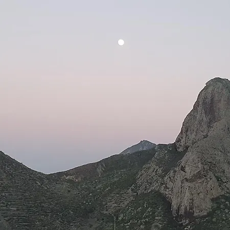El Puente *