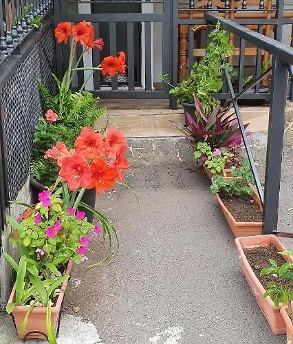 El Puente Appartamento *